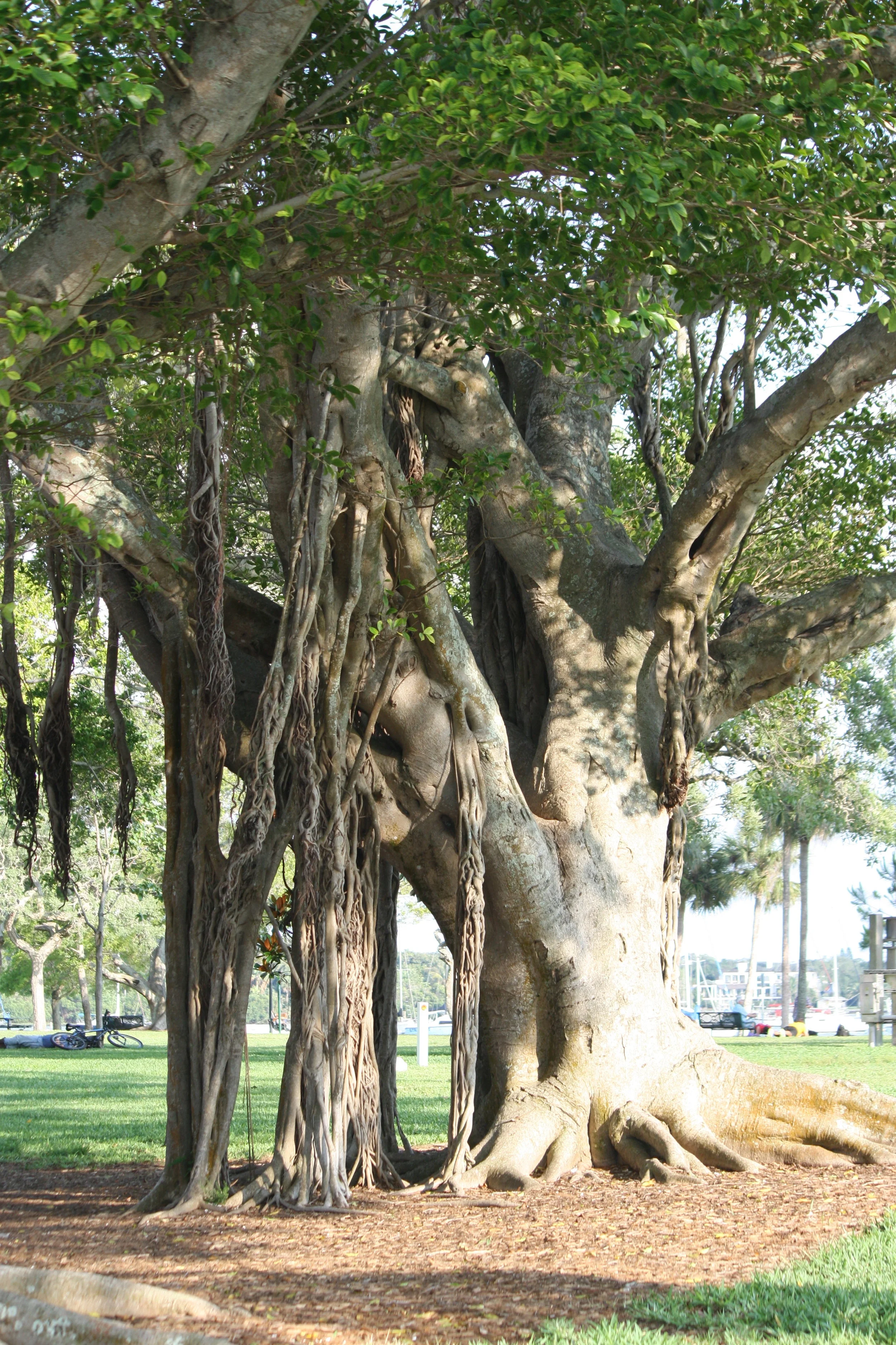 Bayfront Park
