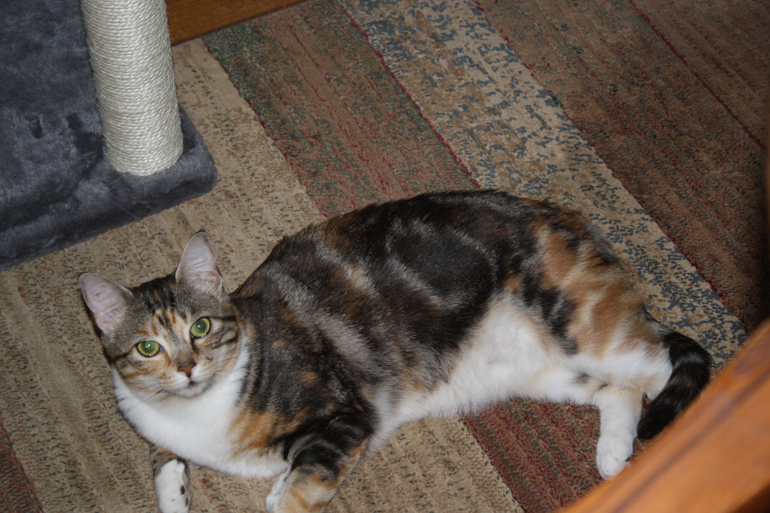 Mischievous Enjoyment