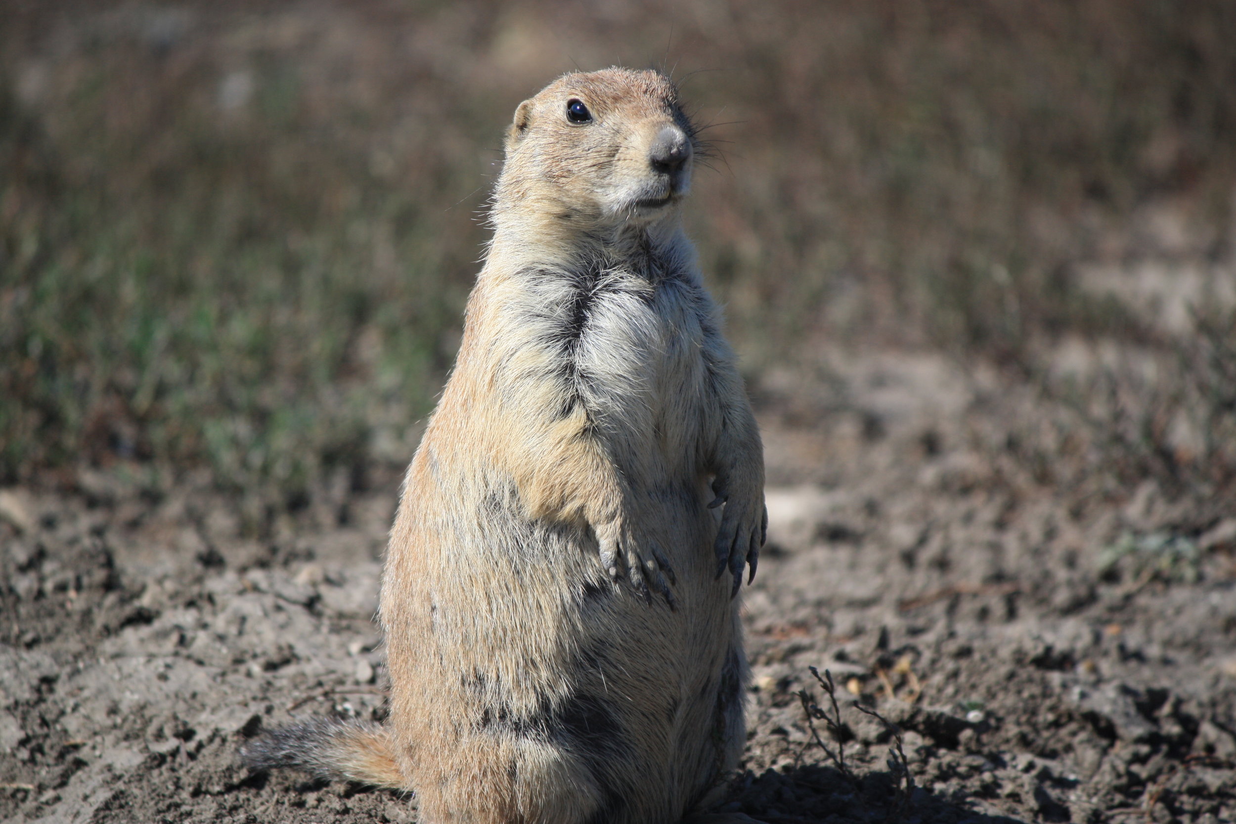 It's All Good - Part Two