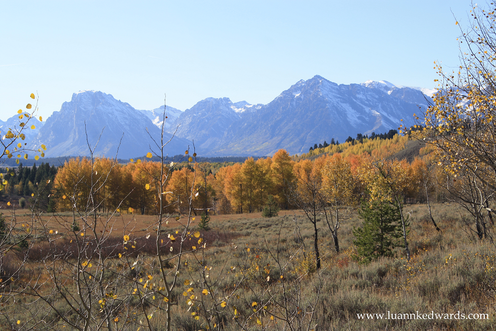 Teton2.png