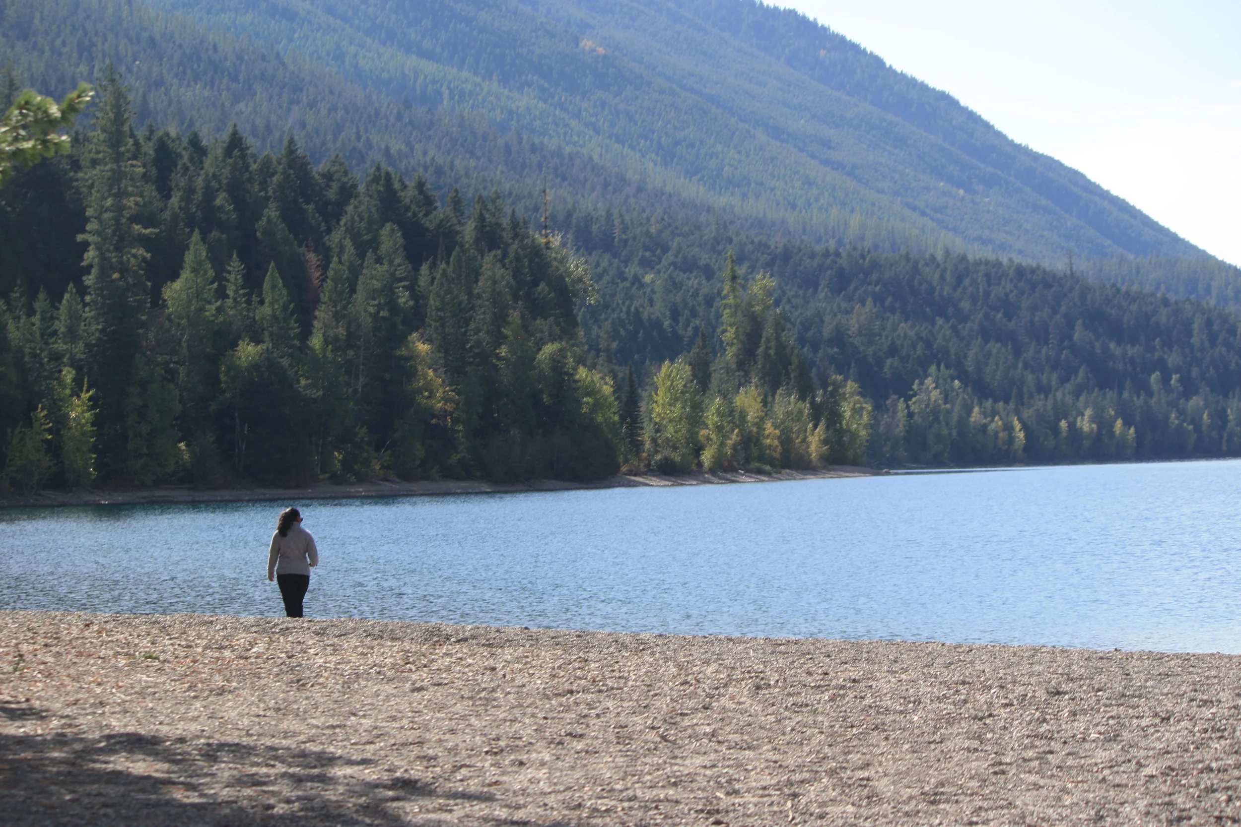 Whose Advice Do You Seek?