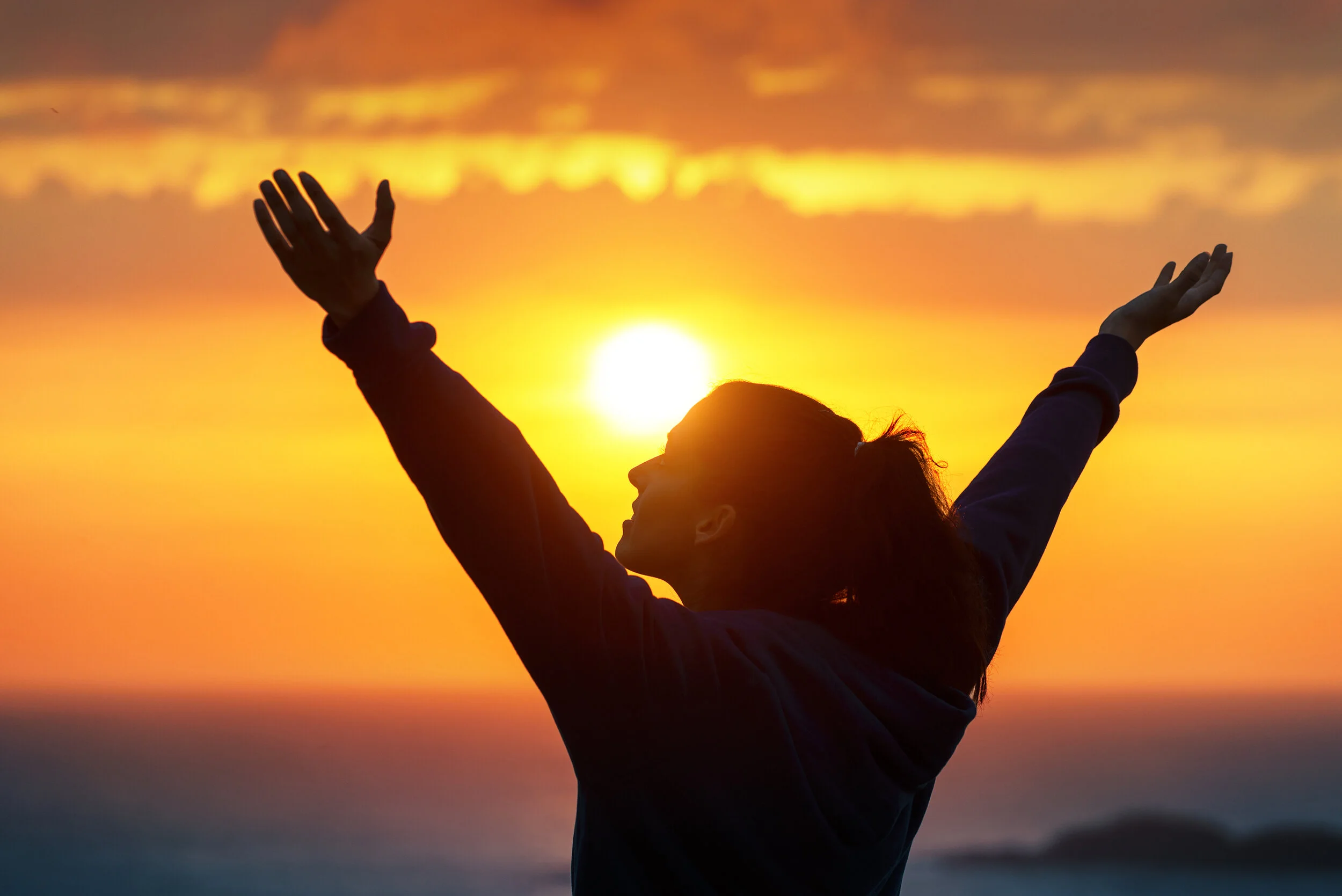 A New Year Filled With Joy
