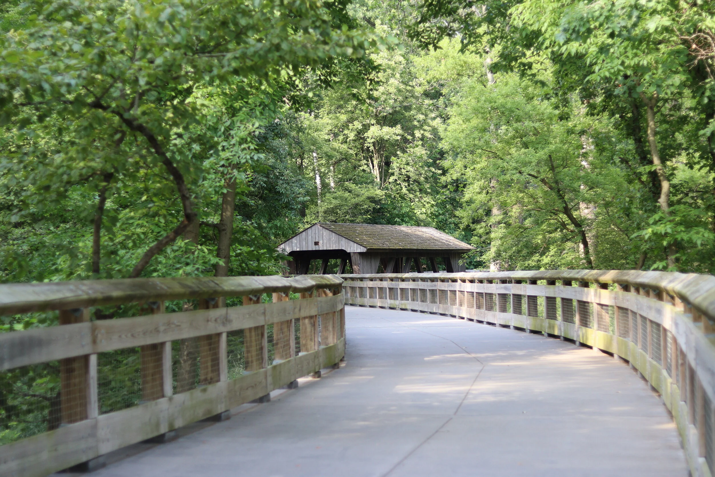 The Past Seven Weeks