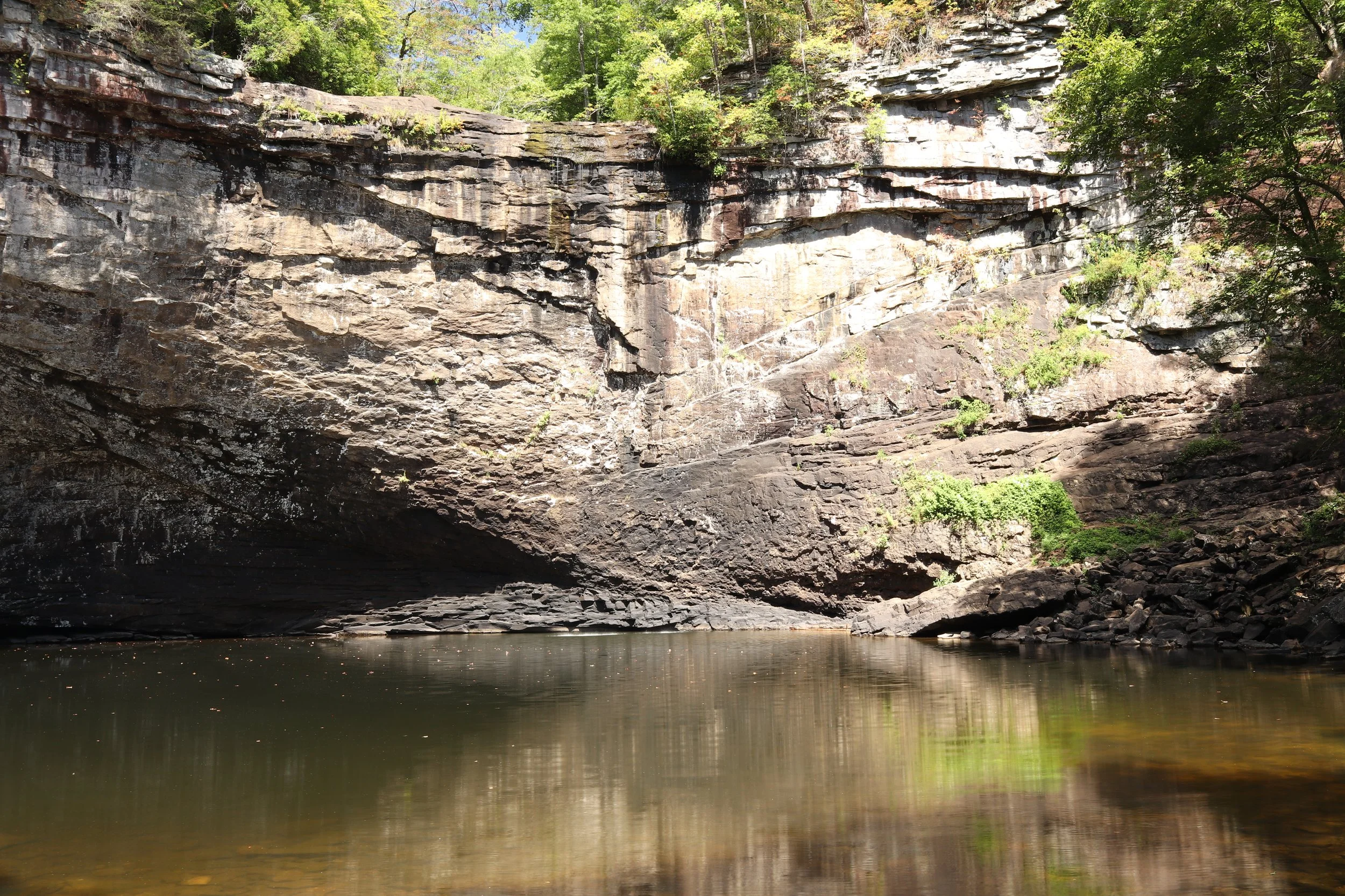 He's Holding on To You