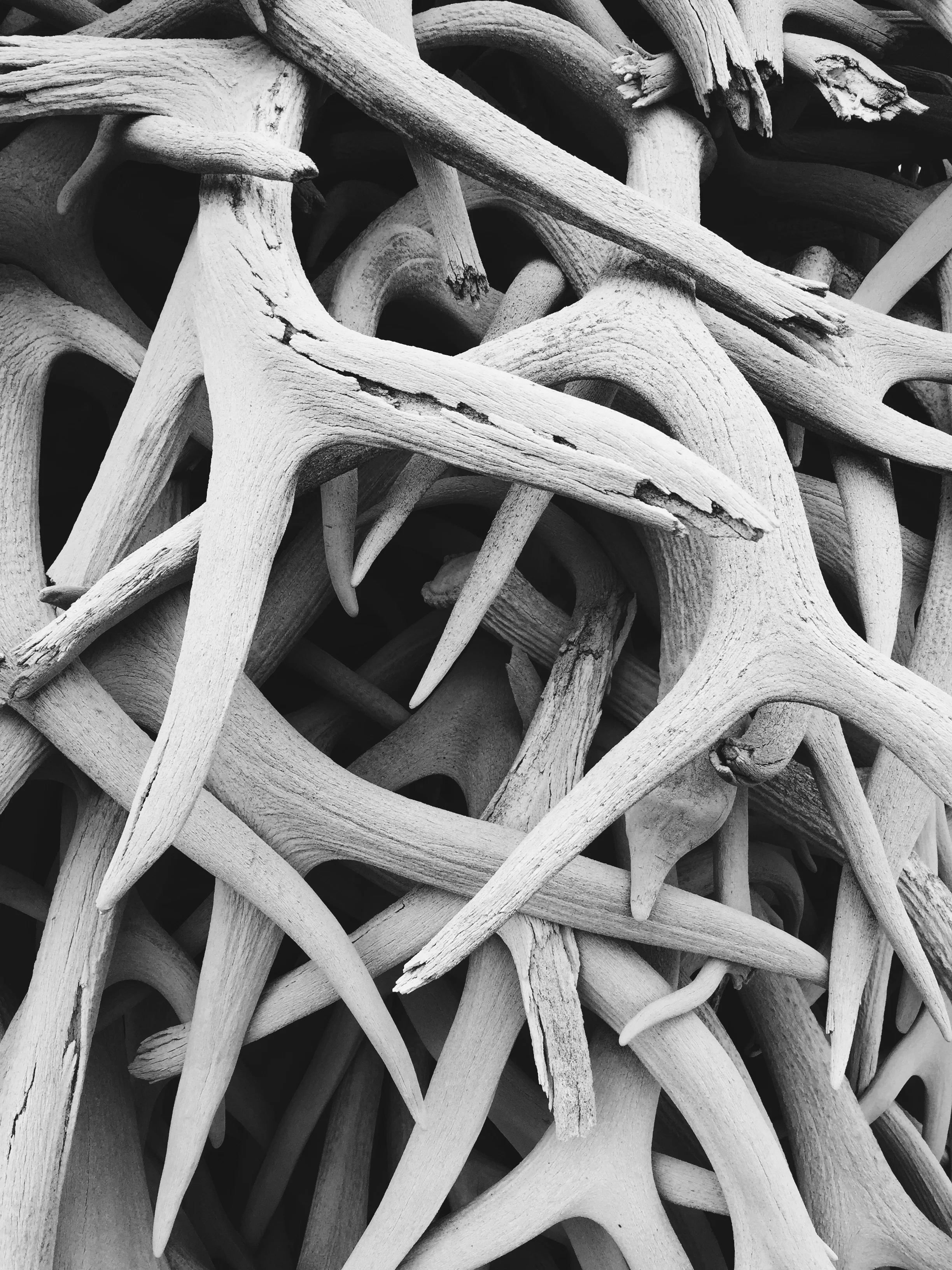 The Black Helicopters Above Us: A Conversation with David Allan Cates