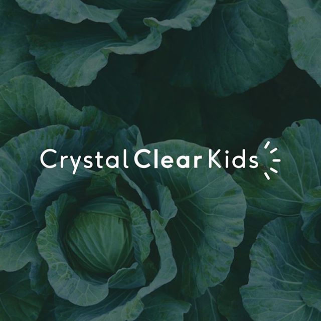 Everything about the new brand exudes fresh, clean, pure. Words aptly used to describe our system to support families in their mission to be healthy and live the best life possible. Check out our new site, link in bio and reach out! We&rsquo;d love t