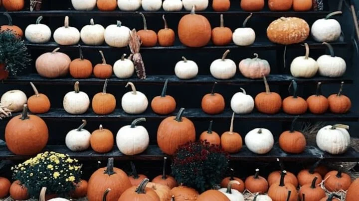 Ladies Pumpkin Party