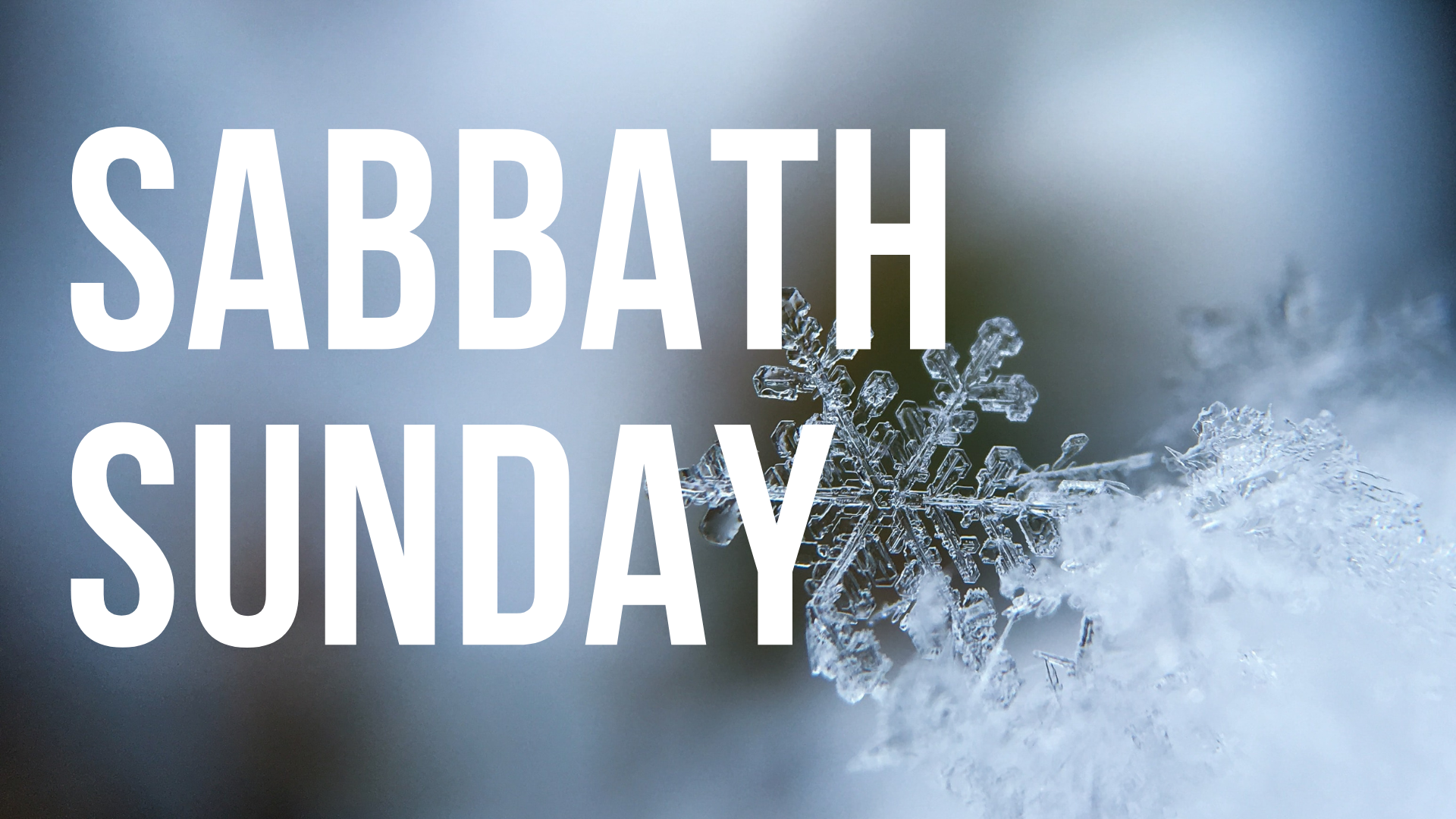 No Service - Sabbath Sunday 