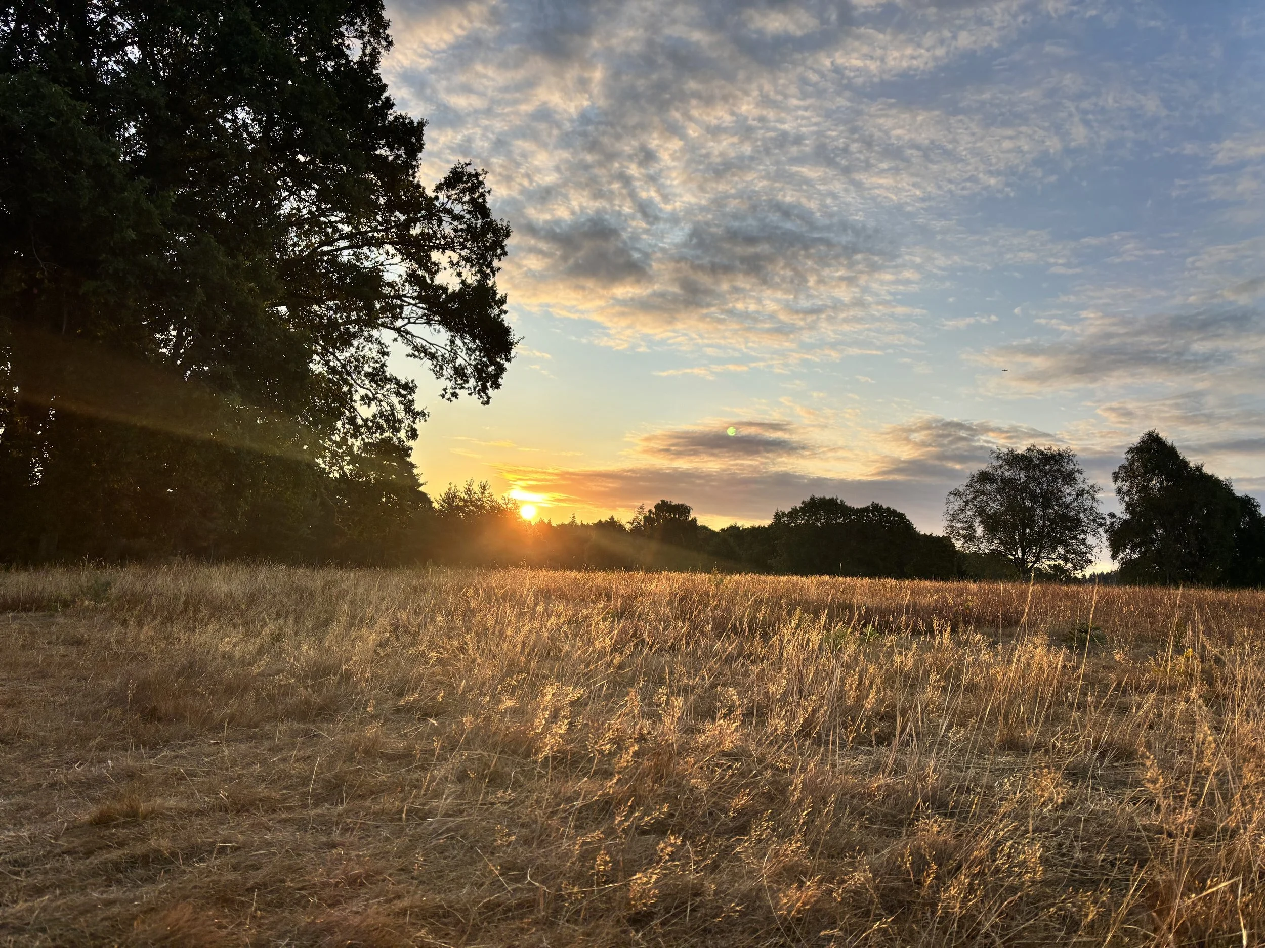 IMG_6713.jpeg