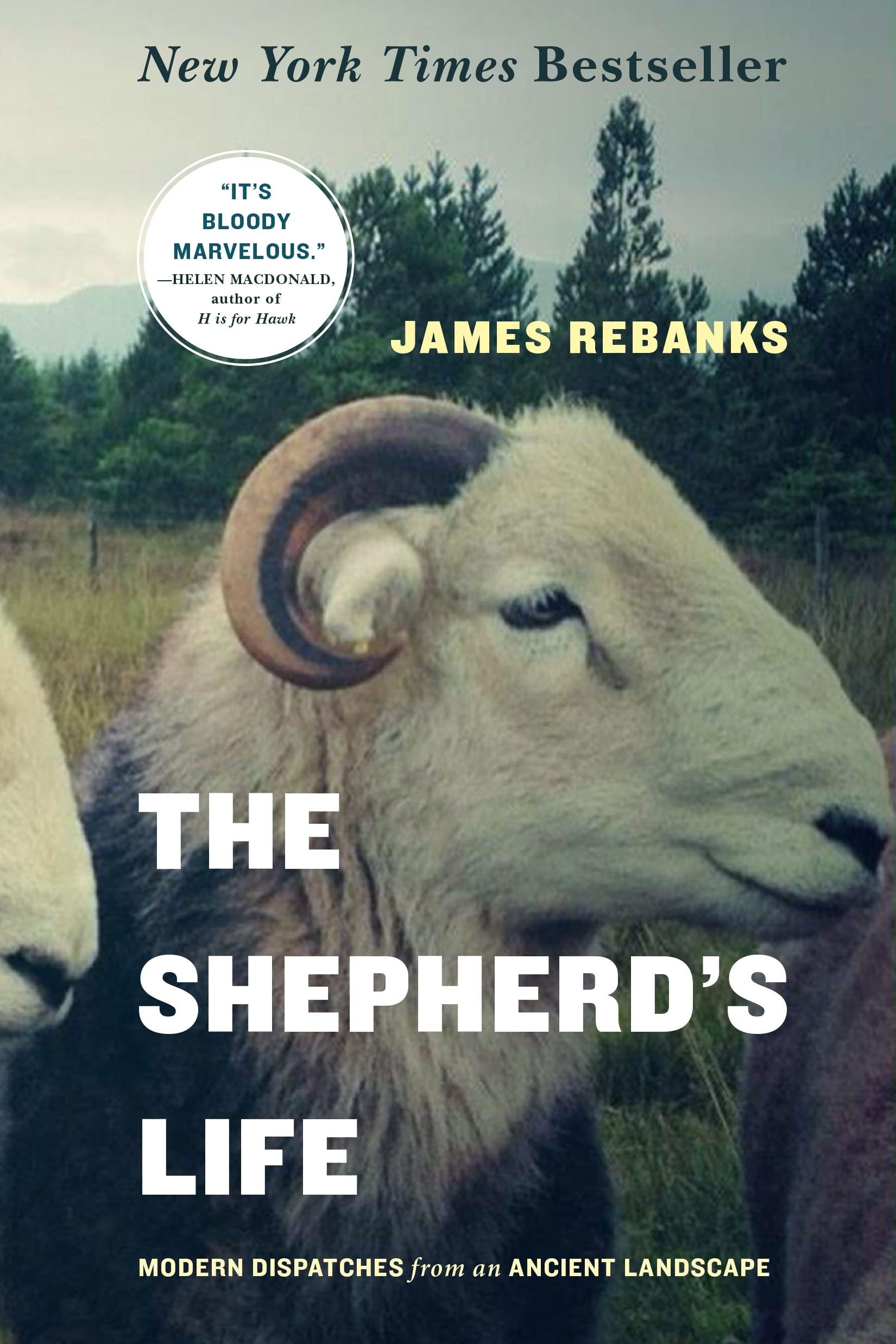 The Shepherd's Life.jpeg