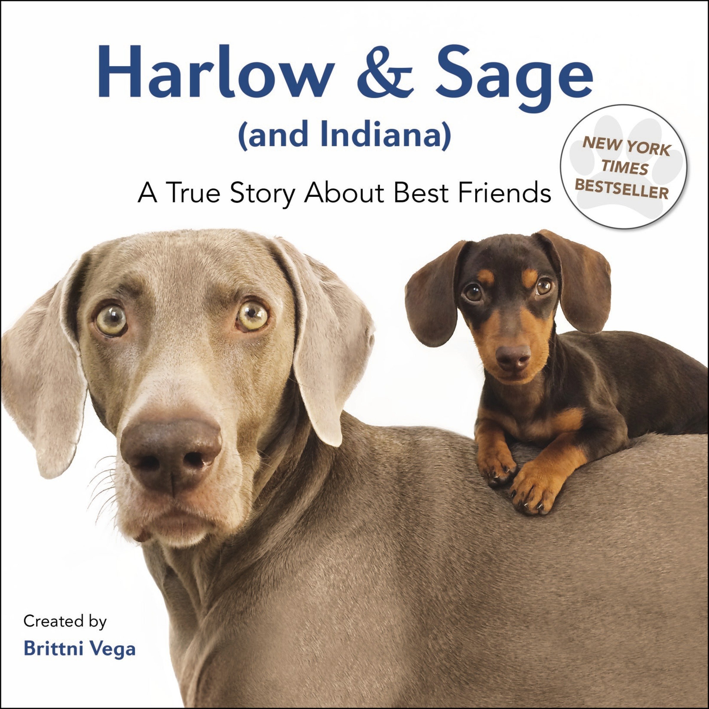 Harlow and Sage.jpeg