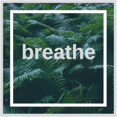 breathe.PNG