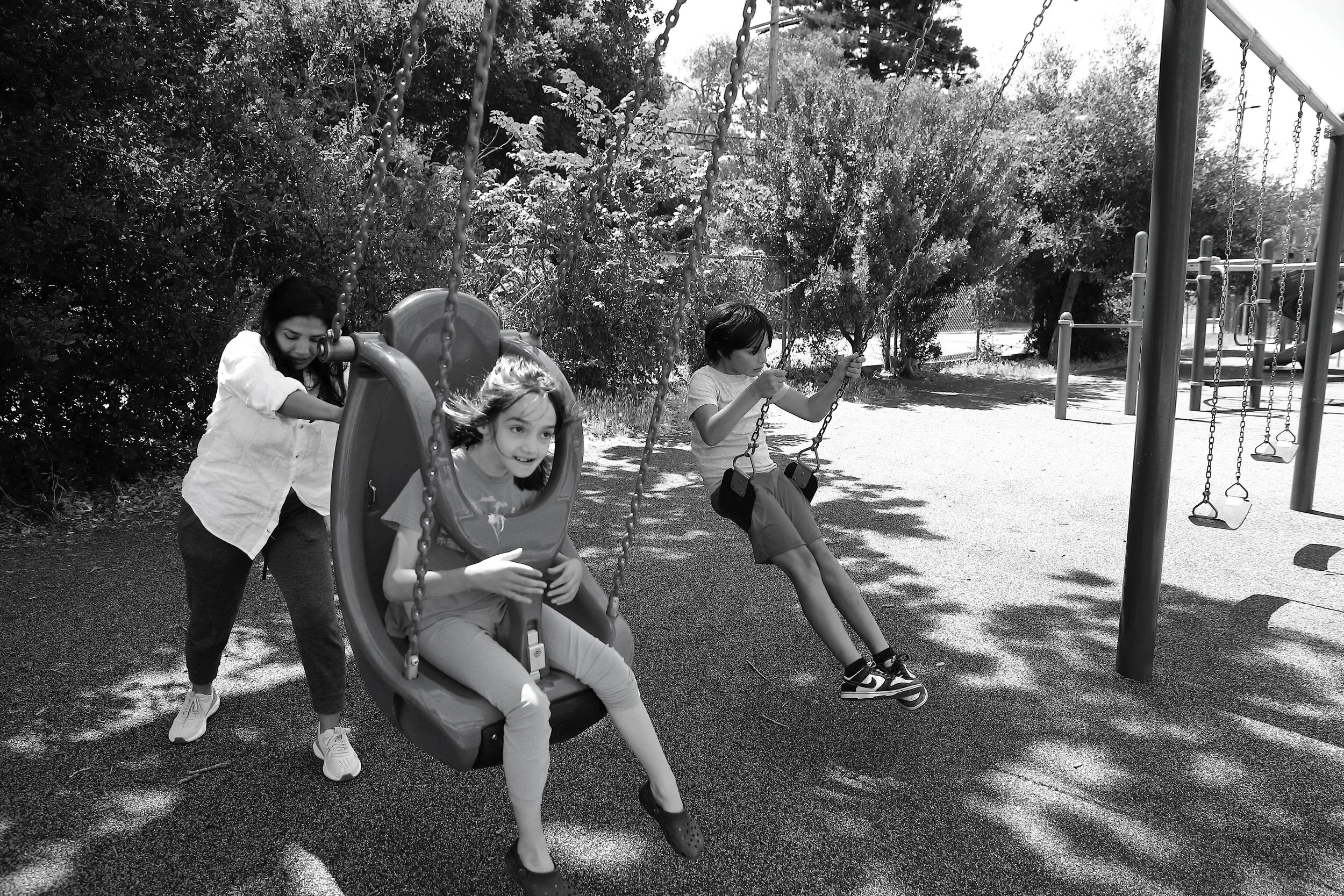   Fitter-Roll Family (5)  