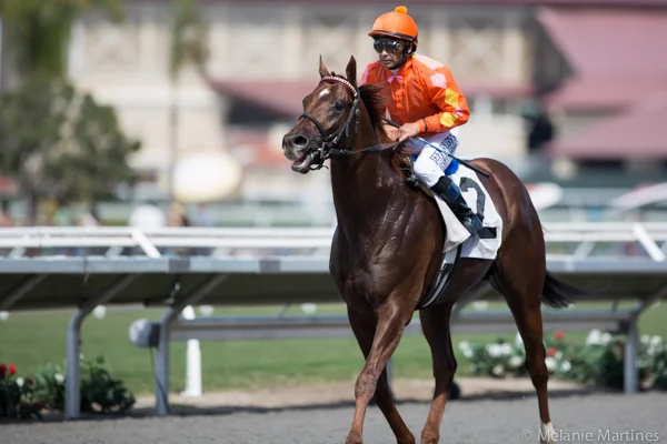 MAIDEN SPECIAL WEIGHT