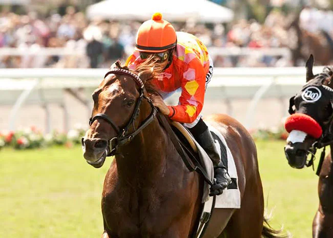 ALLOWANCE OPTIONAL CLAIMING