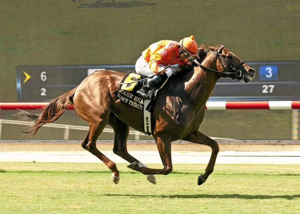 GRADE 2 DEL MAR MILE H.