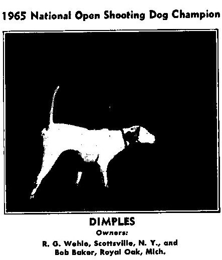 1964 Dimples
