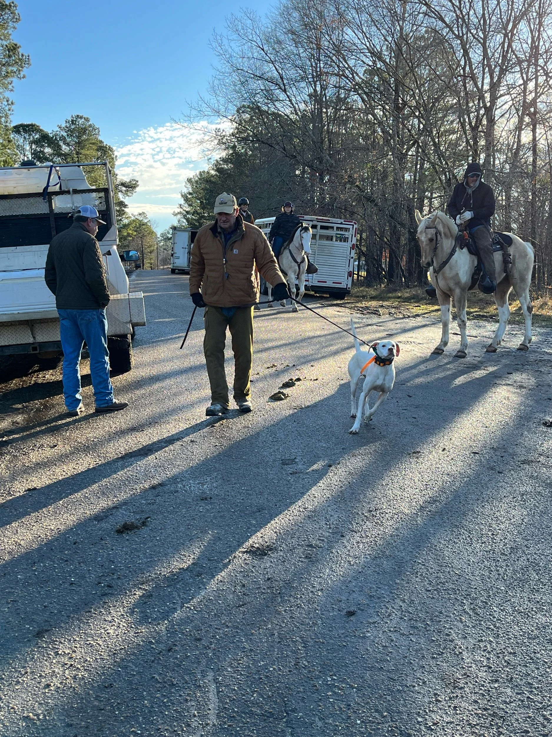 National Open Shooting Dog Championship