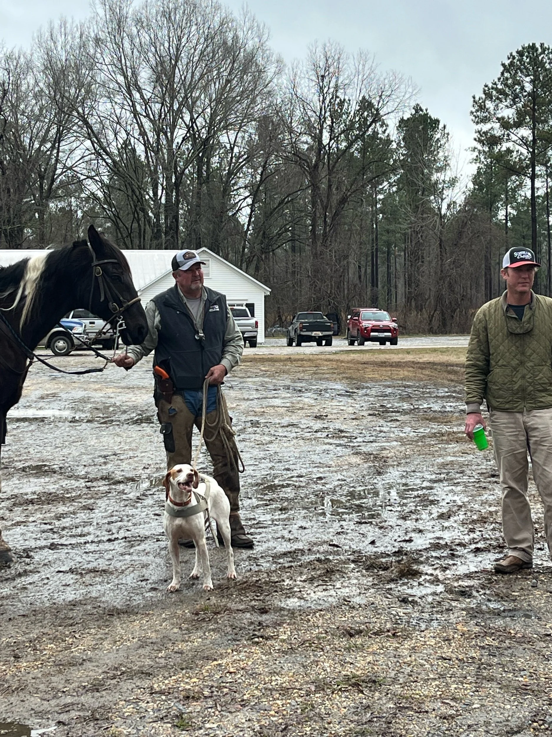 National Open Shooting Dog Championship