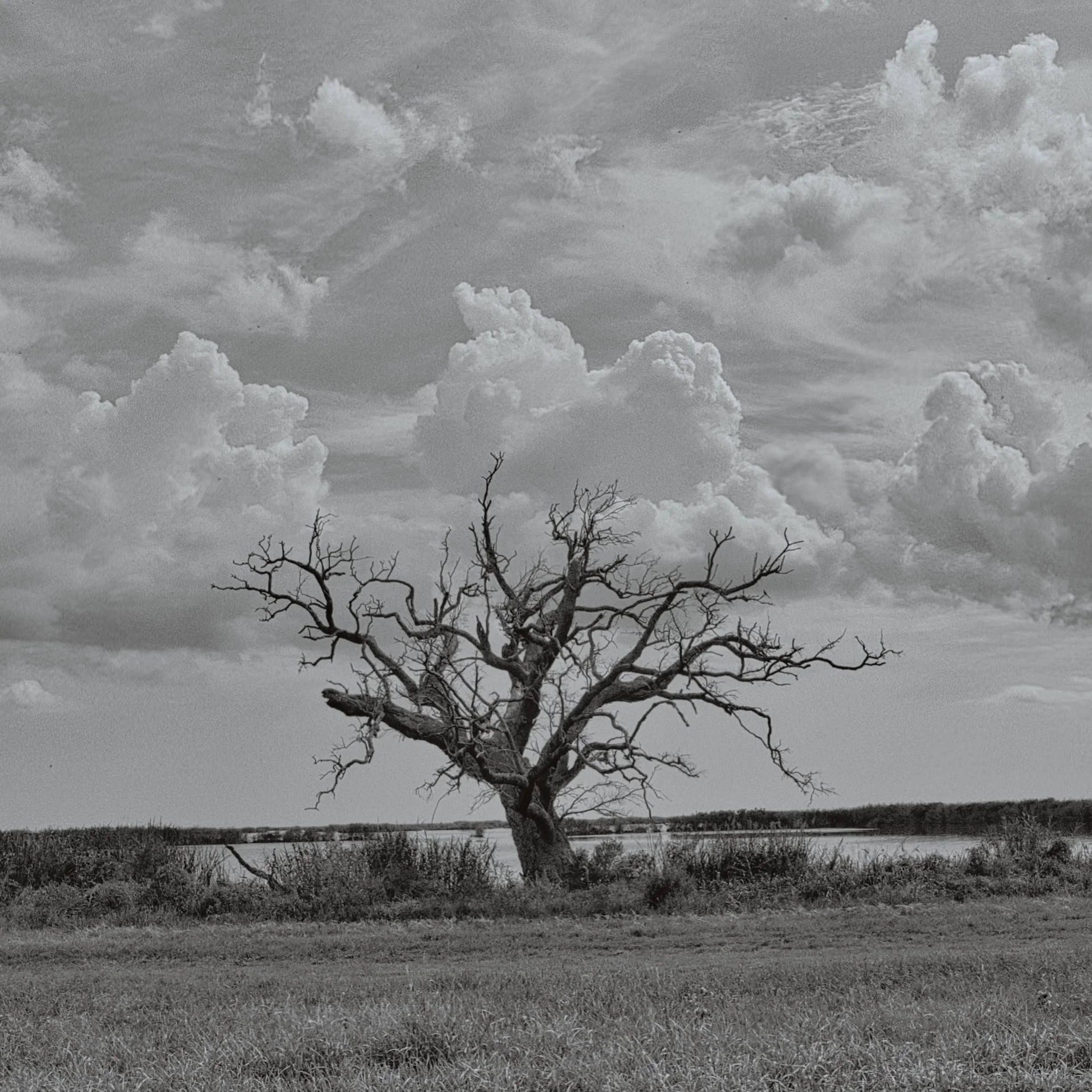 Taken by the Gulf Coast, Louisiana 2025