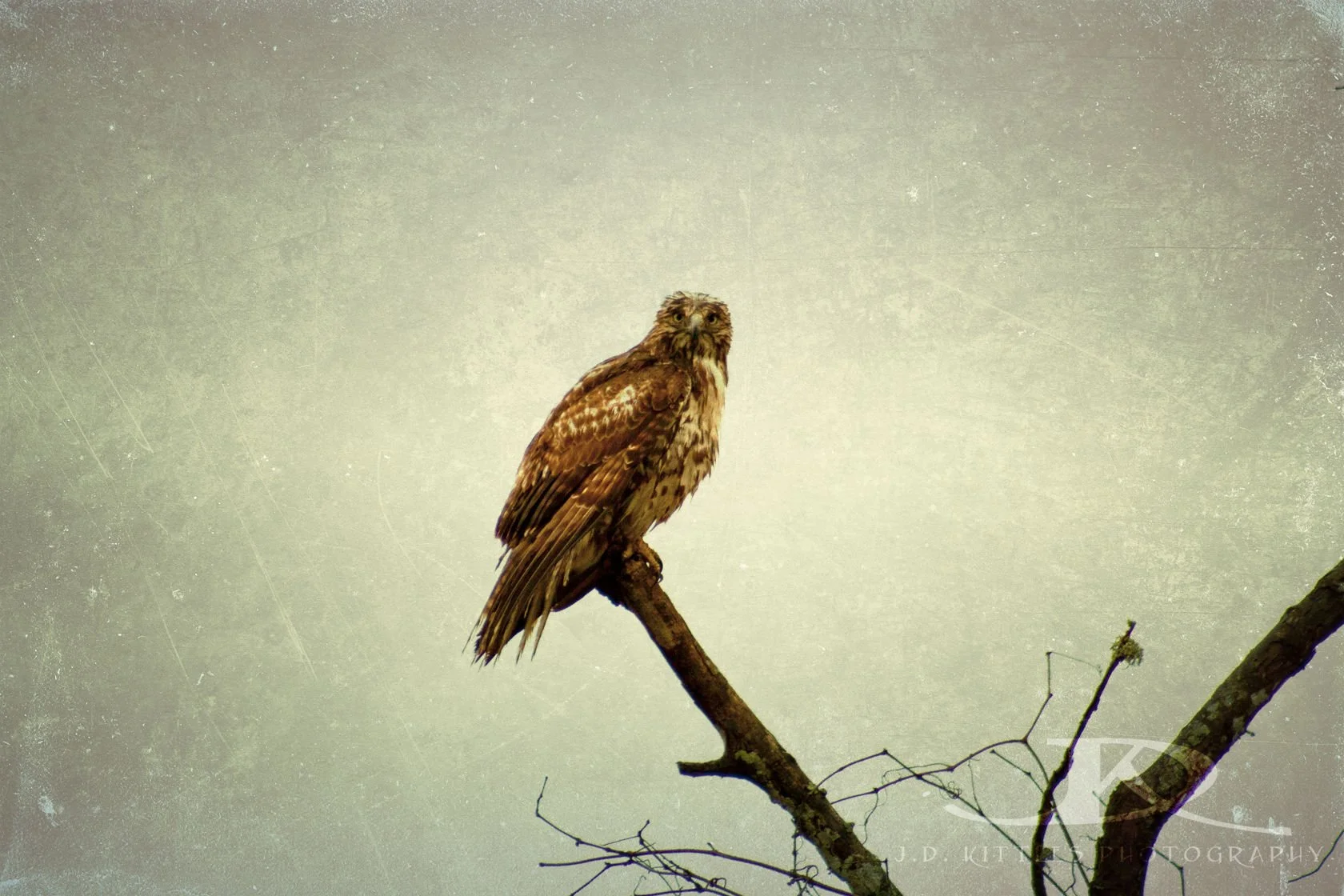 Taken in southern Louisiana 2012