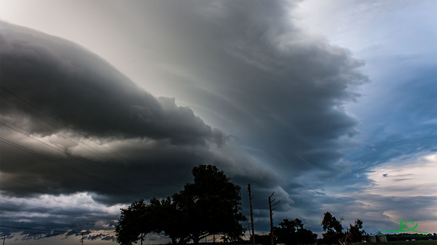 Taken in Branch Louisiana 2014