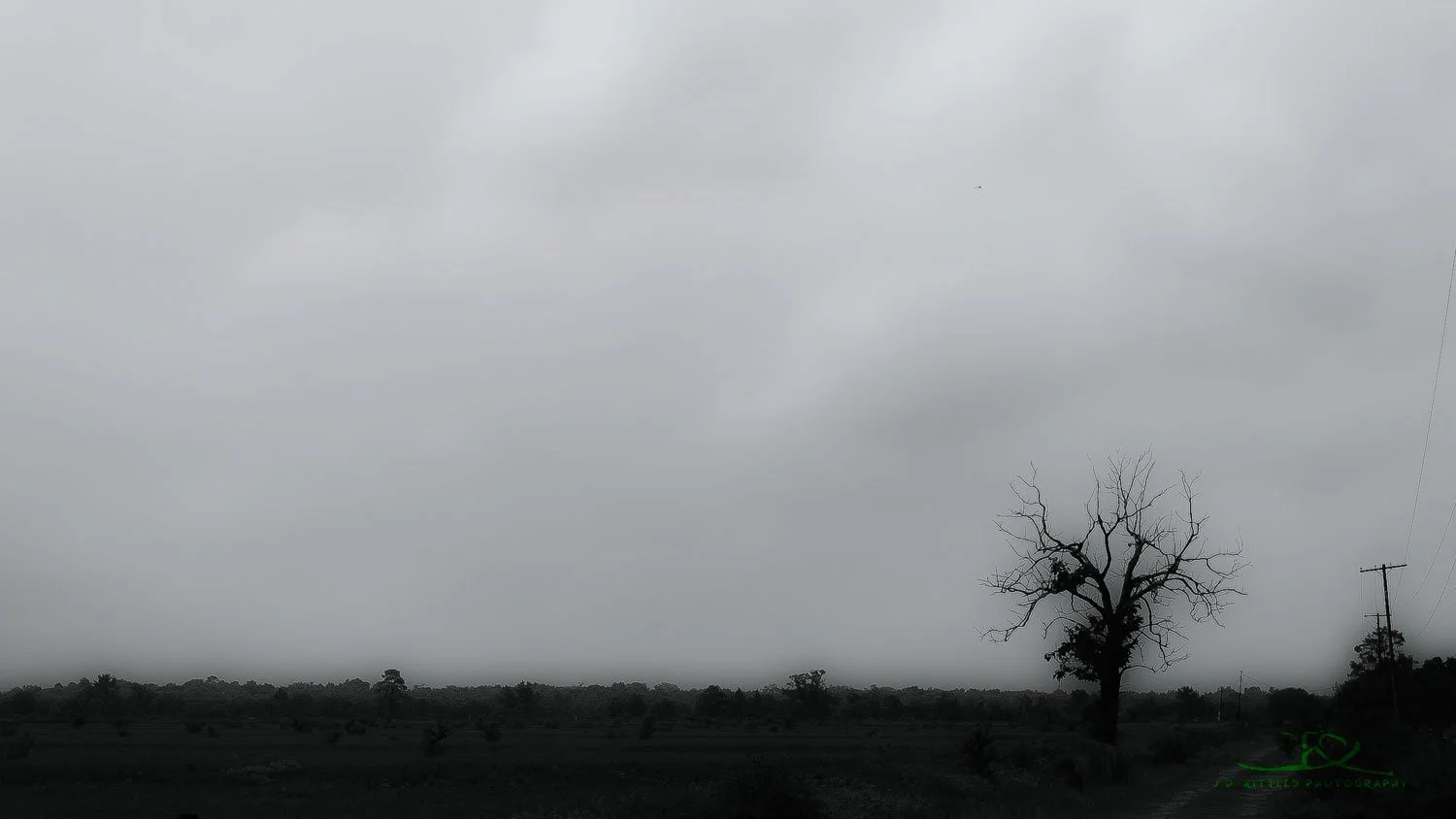 Taken in southern Louisiana 2014