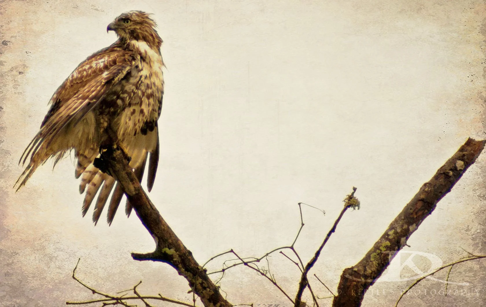 Taken in southern Louisiana 2012