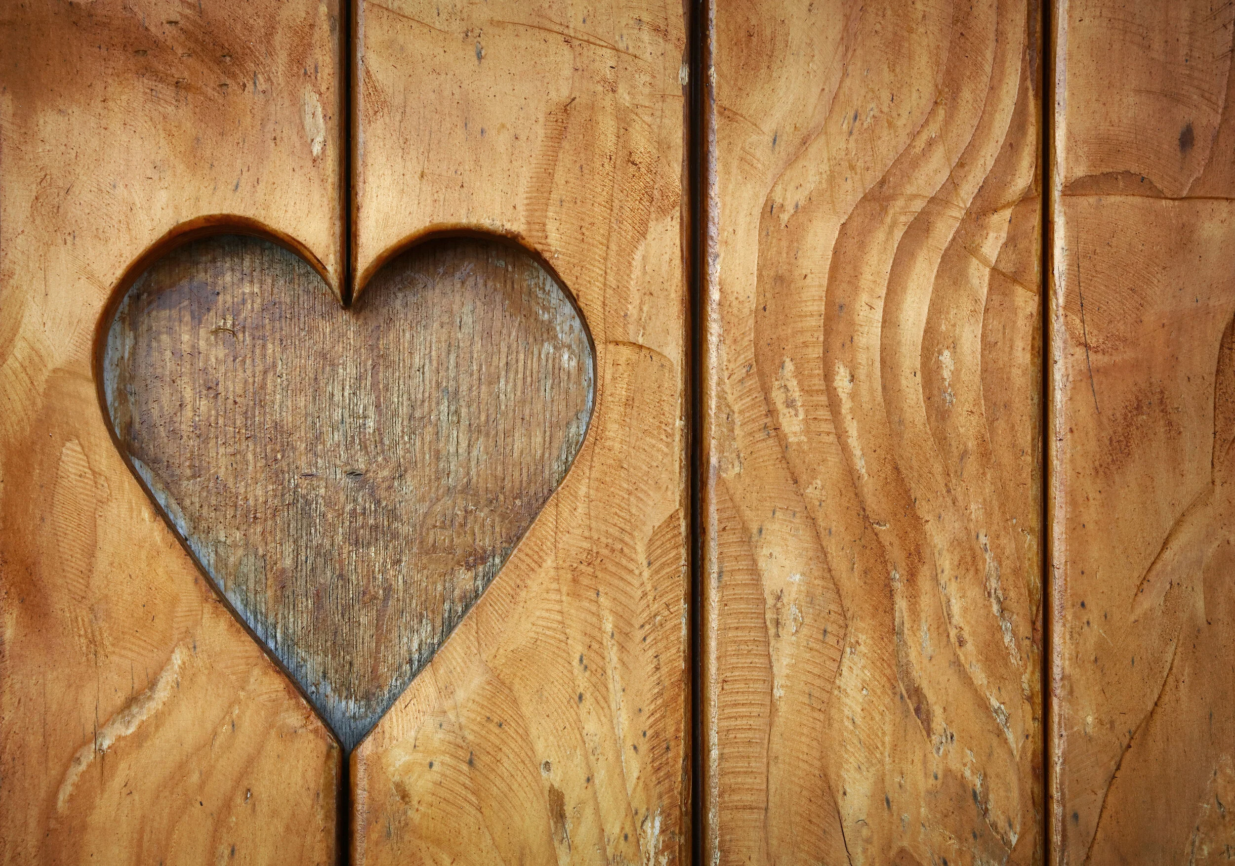 The Love Chapter: A Devotional from 1 Corinthians 13 