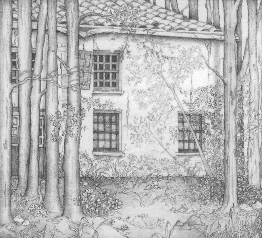 ivy-forest.jpg