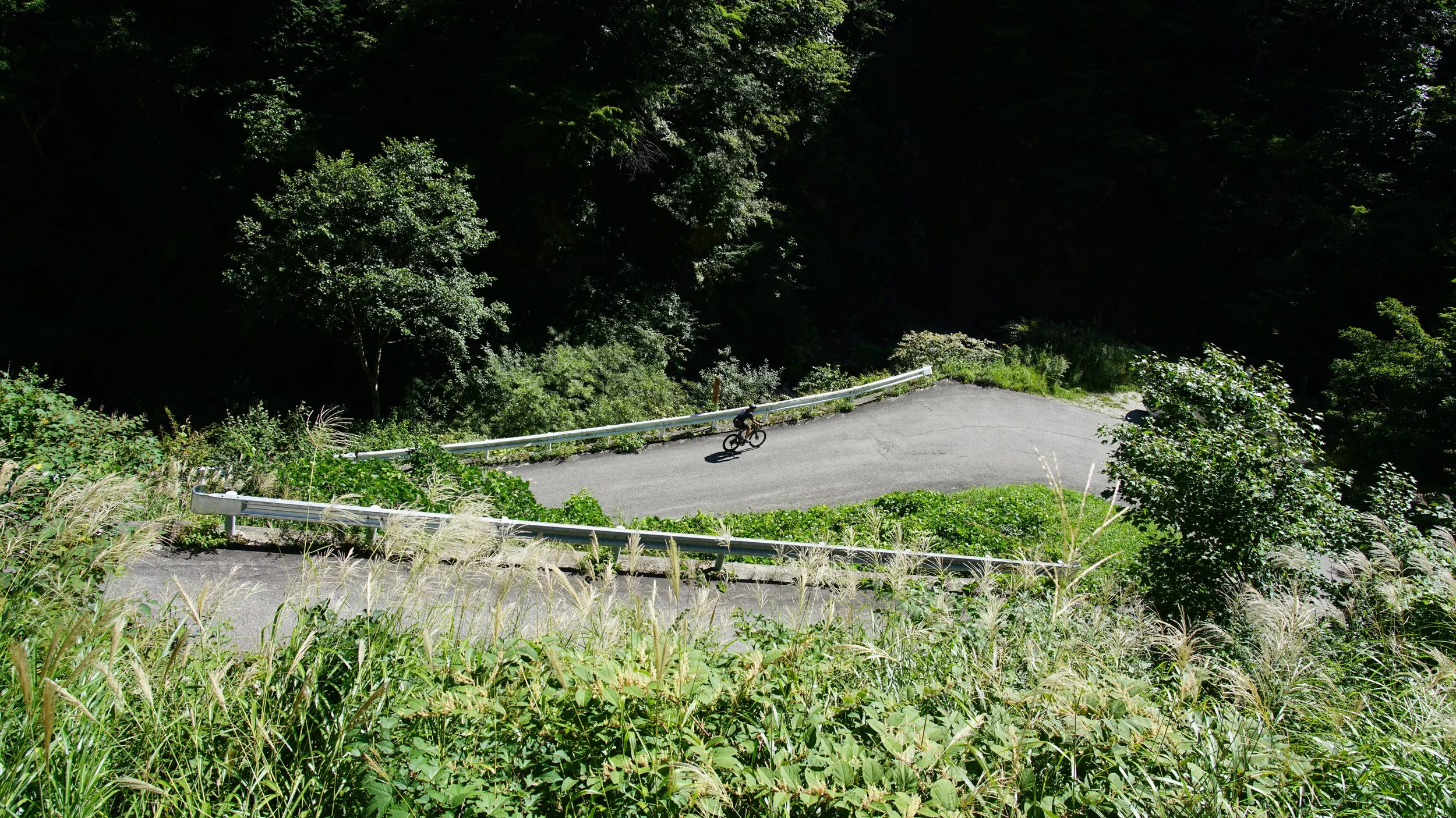 DSC00837.JPG