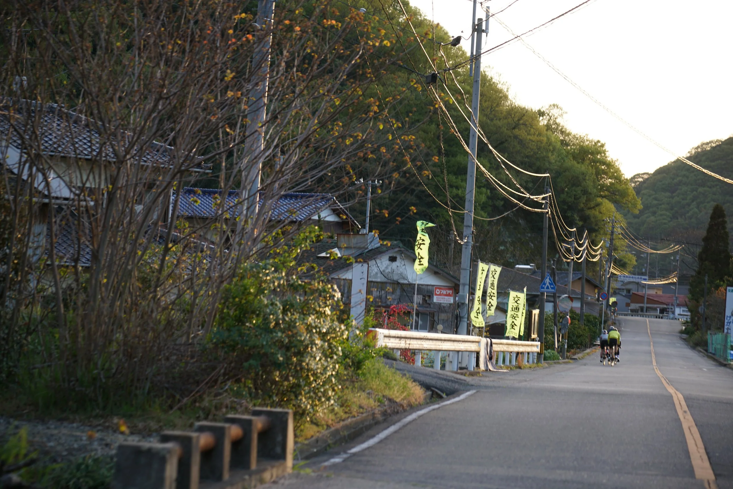 DSC00530.JPG