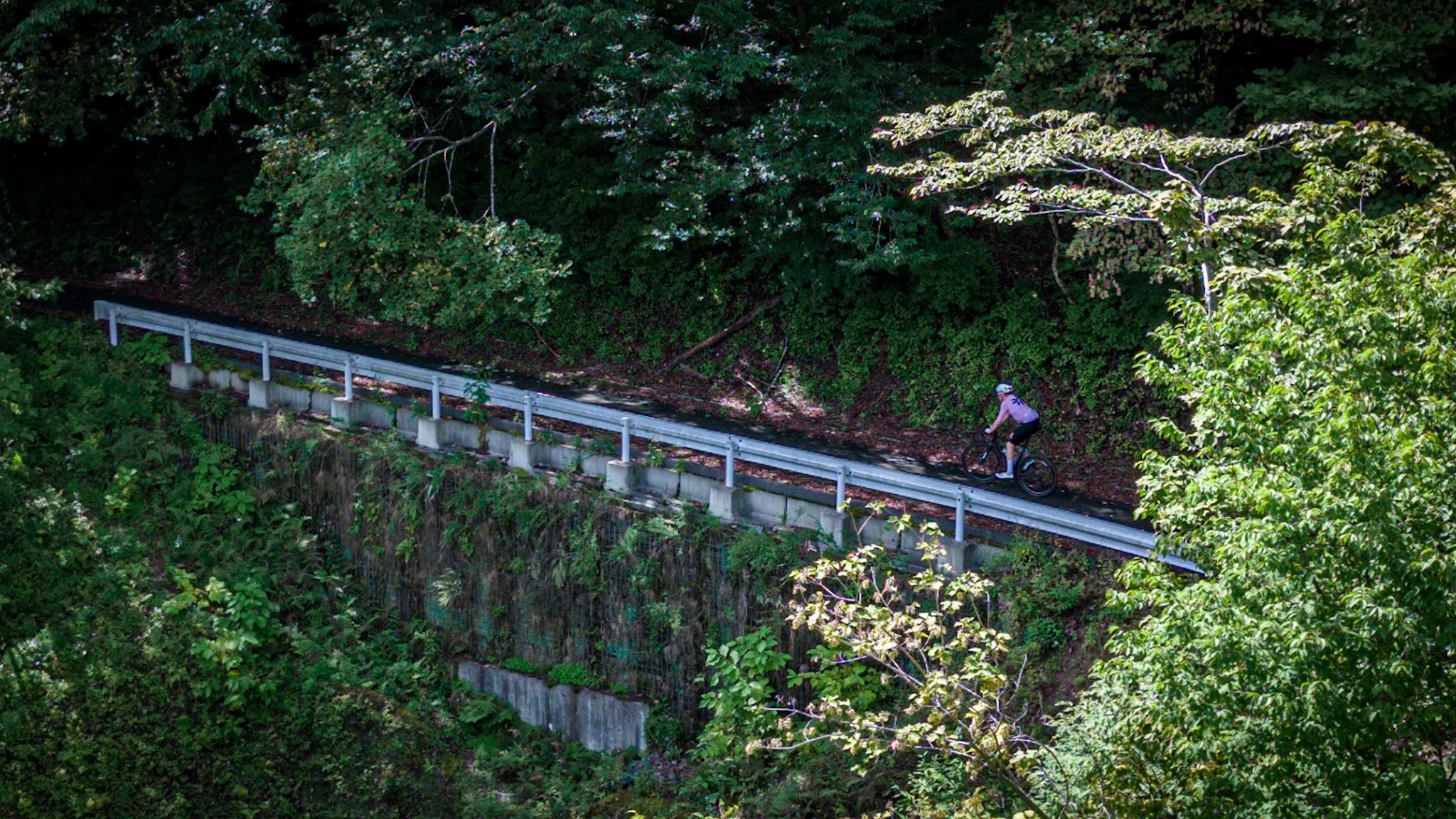 JAPAN ALPS 3.jpg