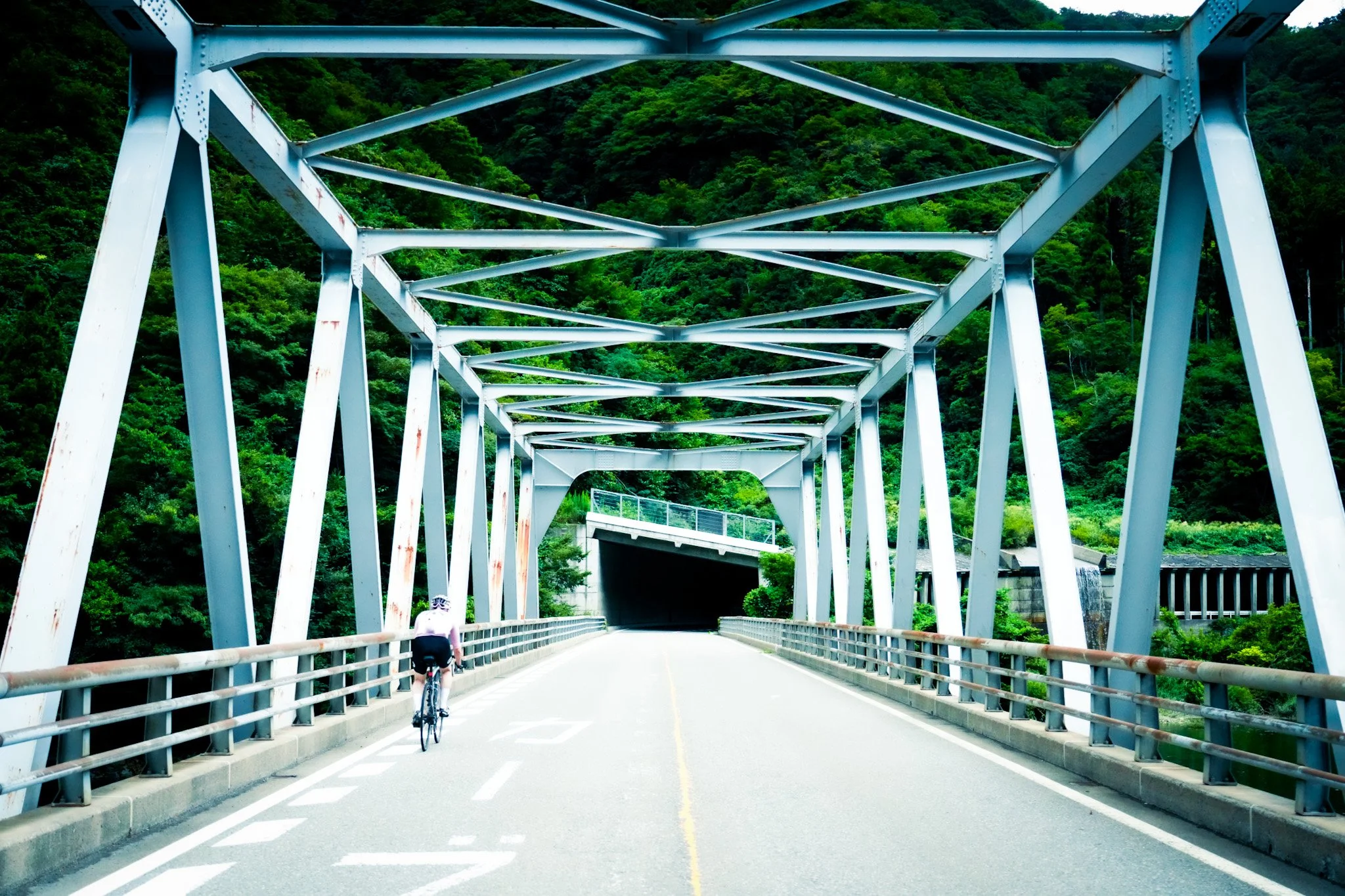 JAPAN BRIDGE 2.JPG
