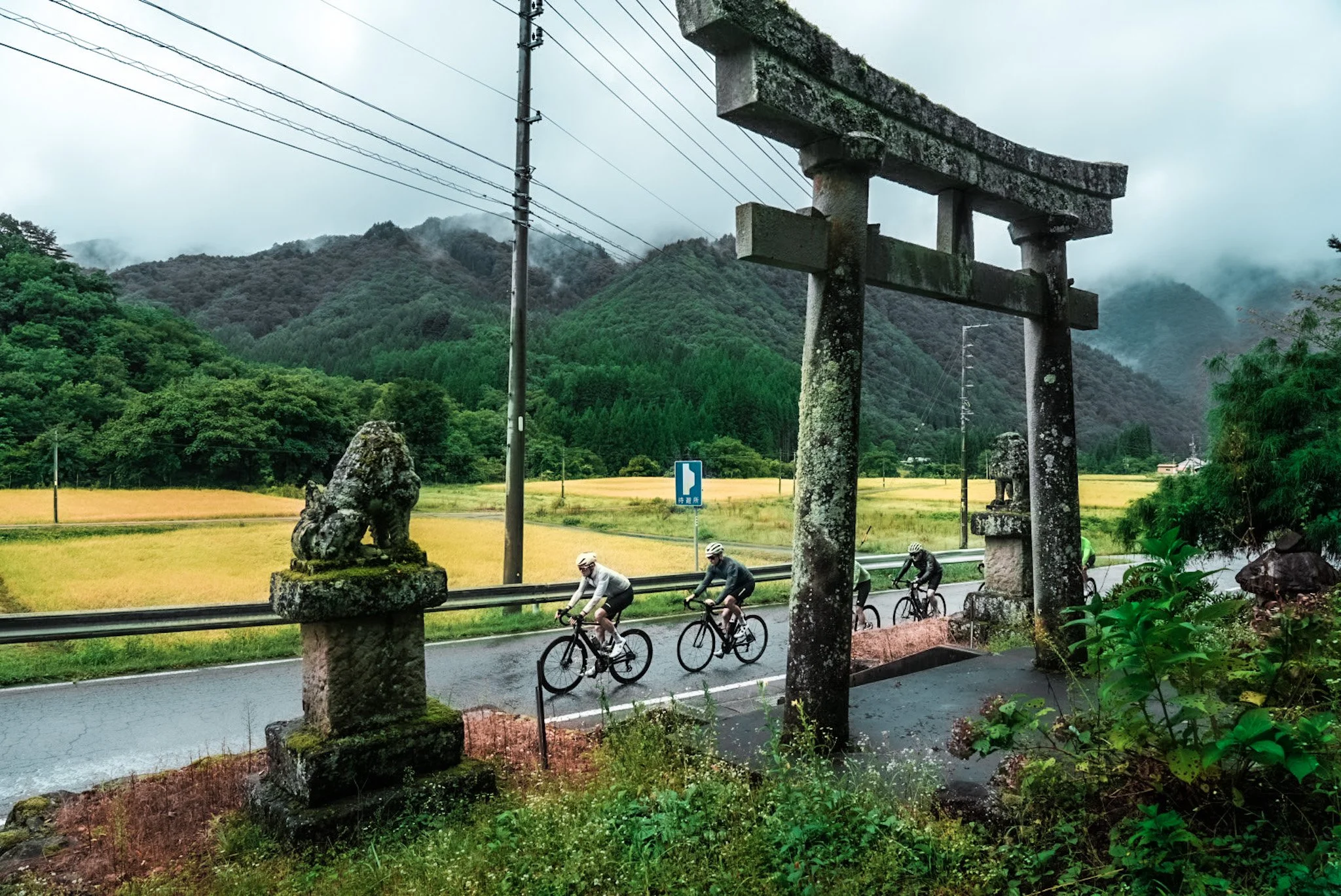 JAPAN TORI GATE.JPG