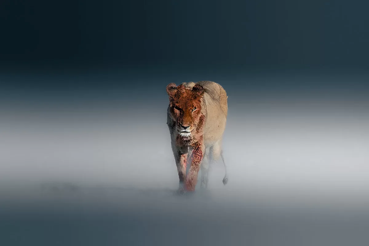 568235028-wildlife-01.webp
