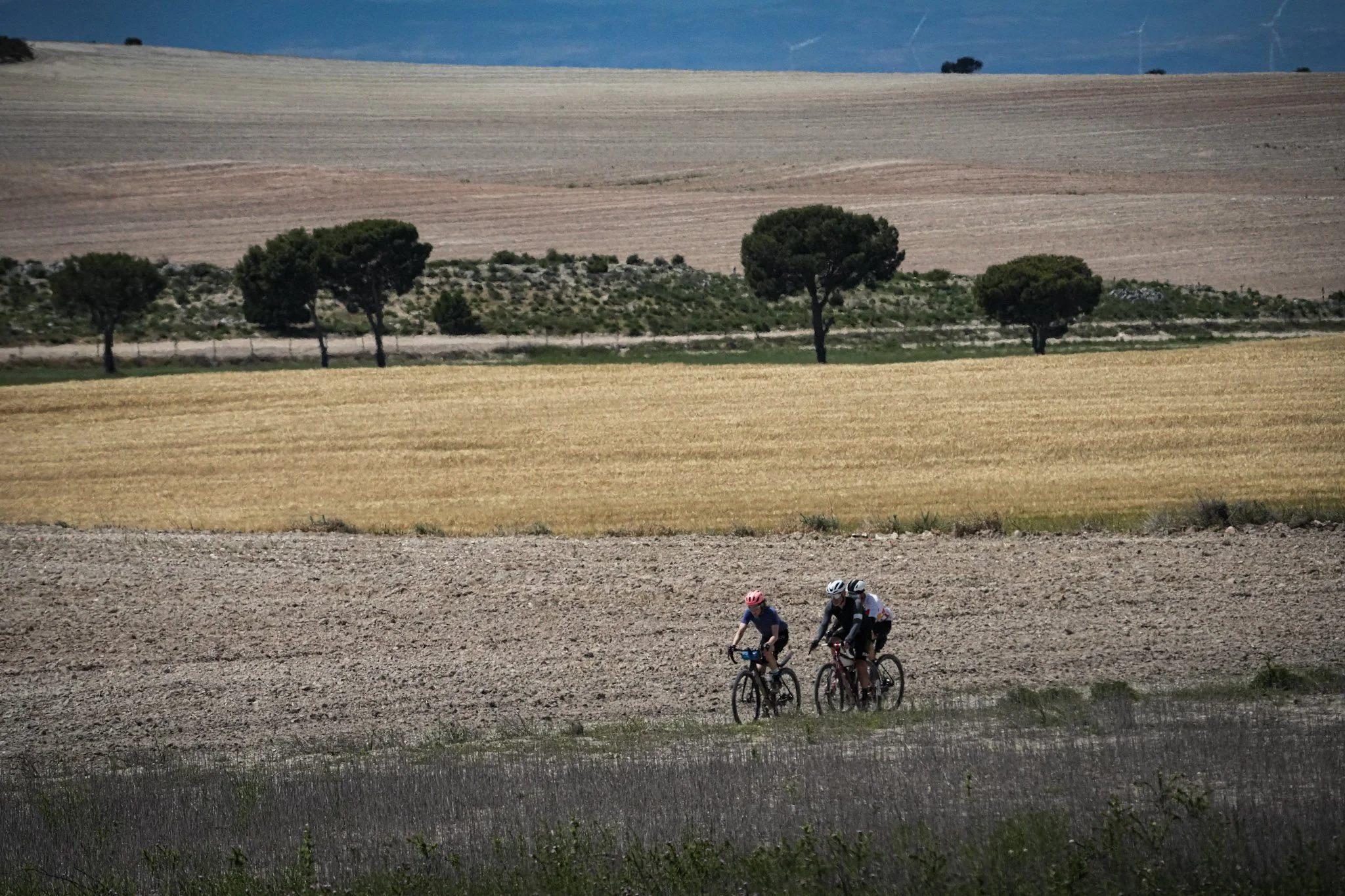 68-DSC04094.jpg