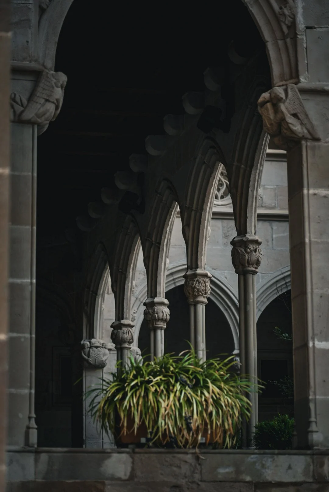100-DSC01283.jpg