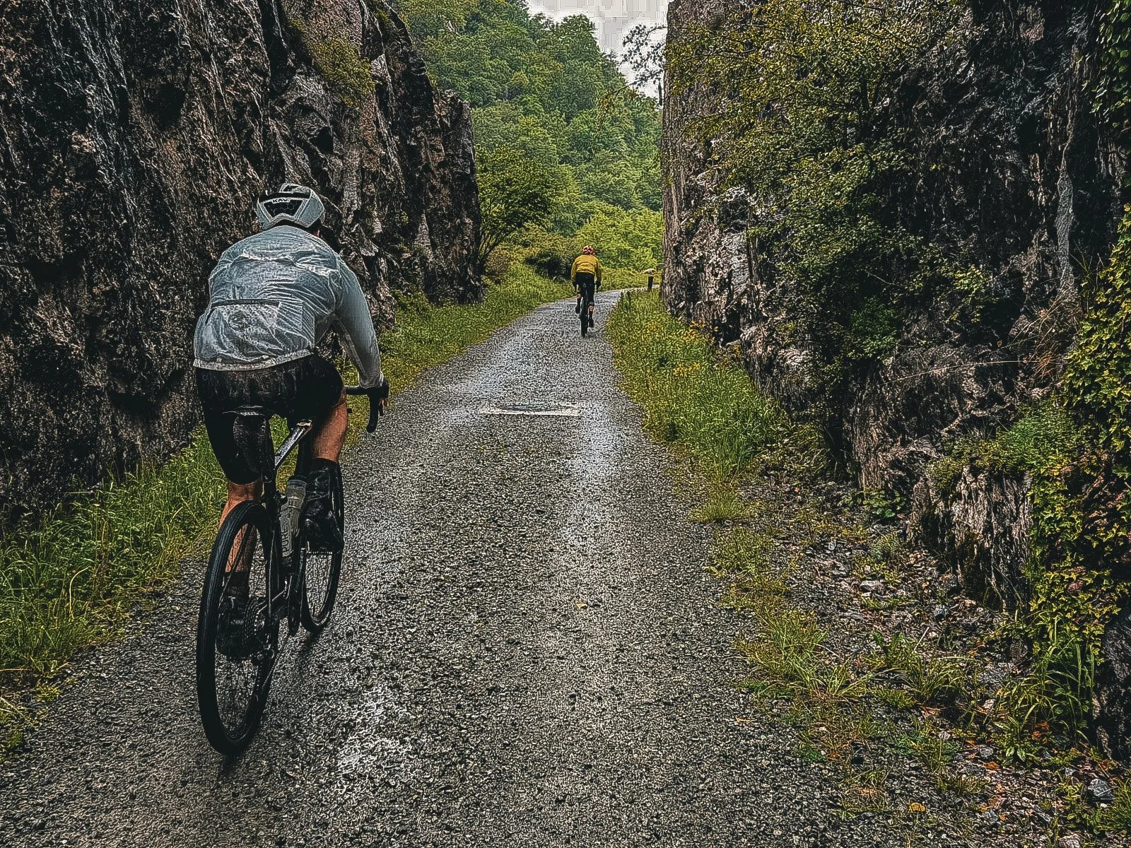 221-0589d0c3-43c0-4fae-a95f-36cdaddbad75.jpg