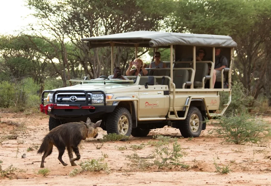 okonjima_lodge_nature_drive1.webp