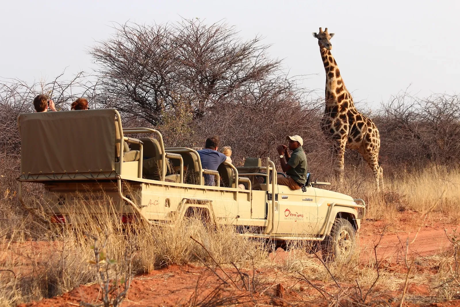 okonjima_lodge_nature_drive14.webp