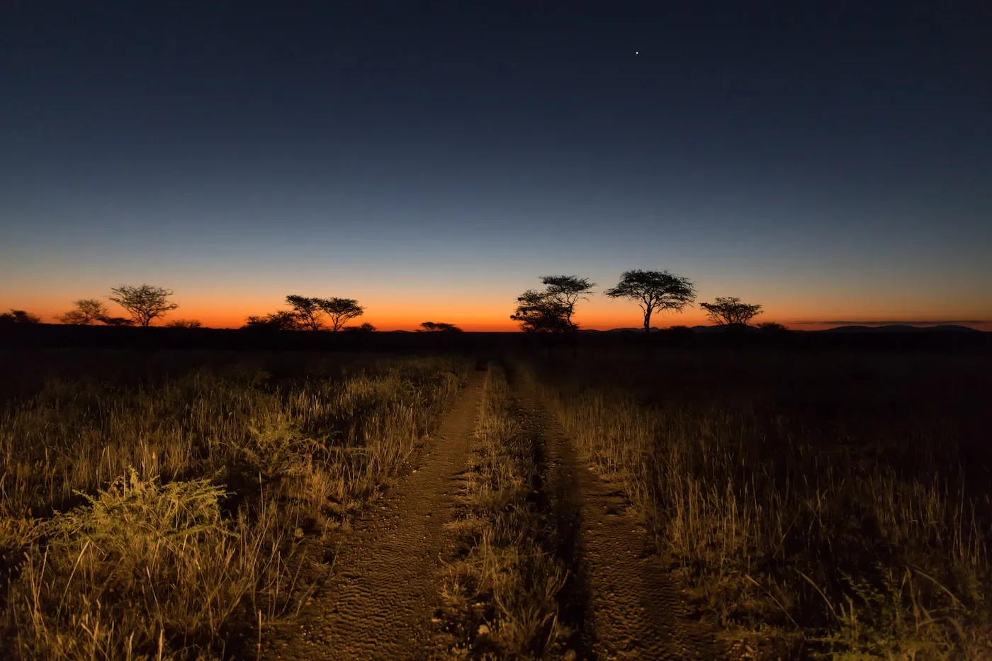 okonjima_lodge_nocturnal_drive2.webp