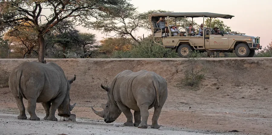 okonjima_lodge_research_and_collars7-1.webp
