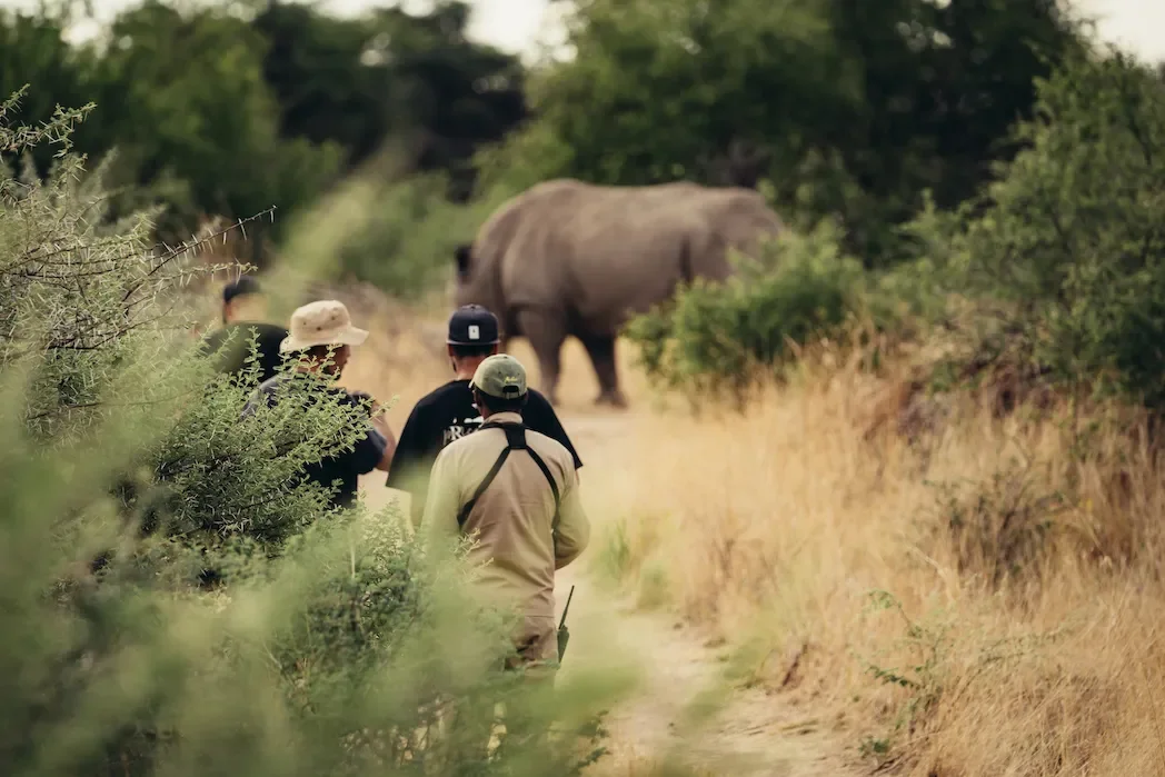 okonjima_nature_reserve_activities_Rob-Okonjima-huelper_crew10__807 (1).webp