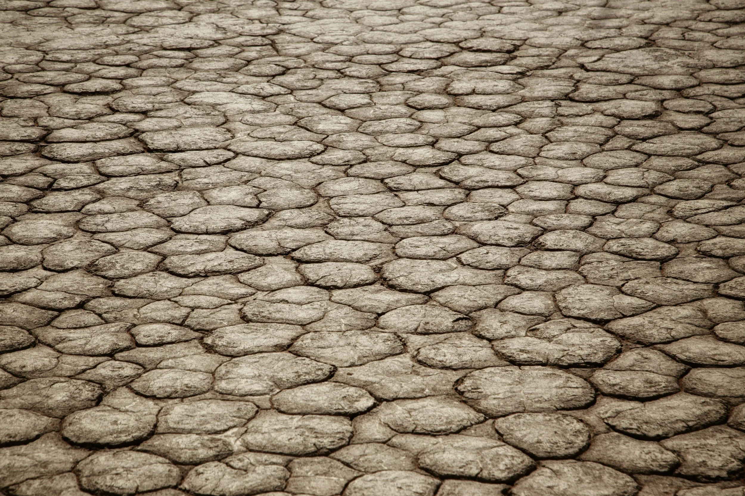 unsplash-image-kyDwdiLg6qA.jpg