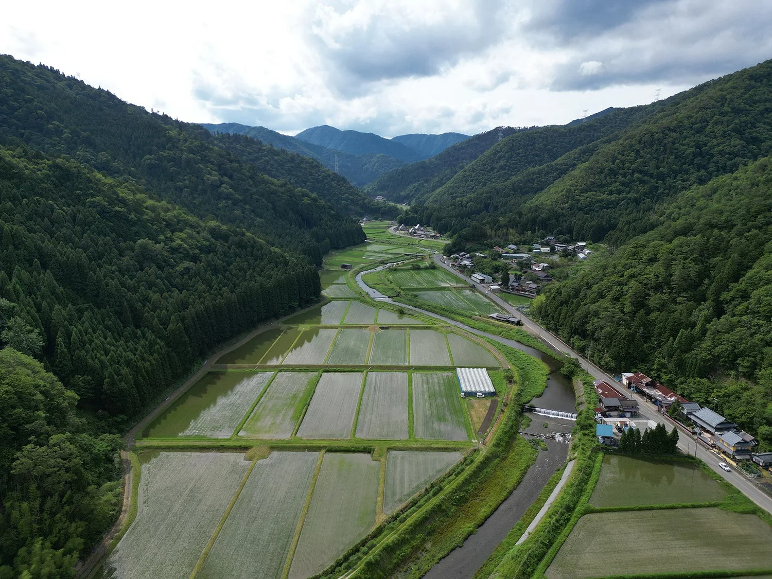 tsurugaoka-1.jpg