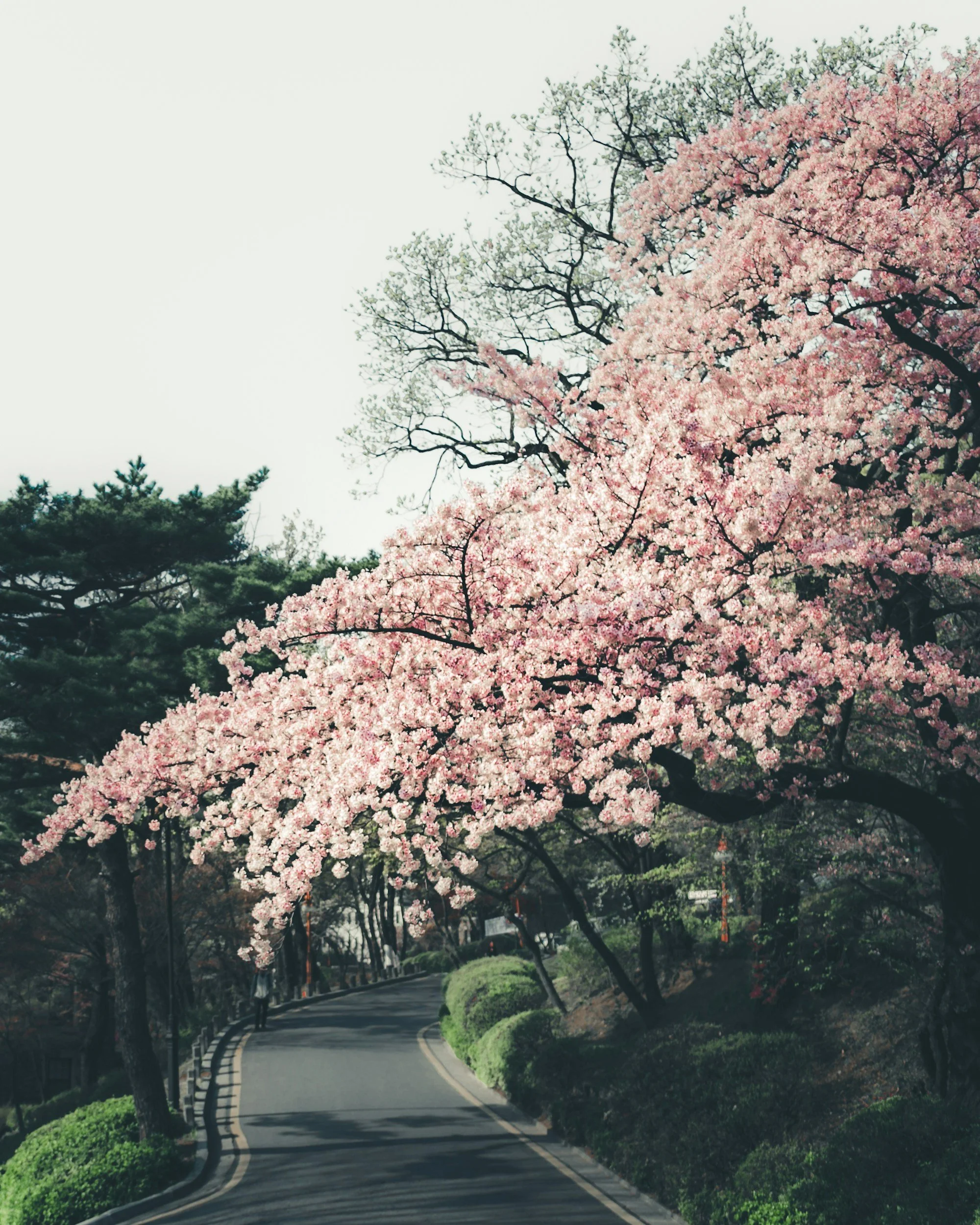 unsplash-image-yER6L9sRPXM.jpg