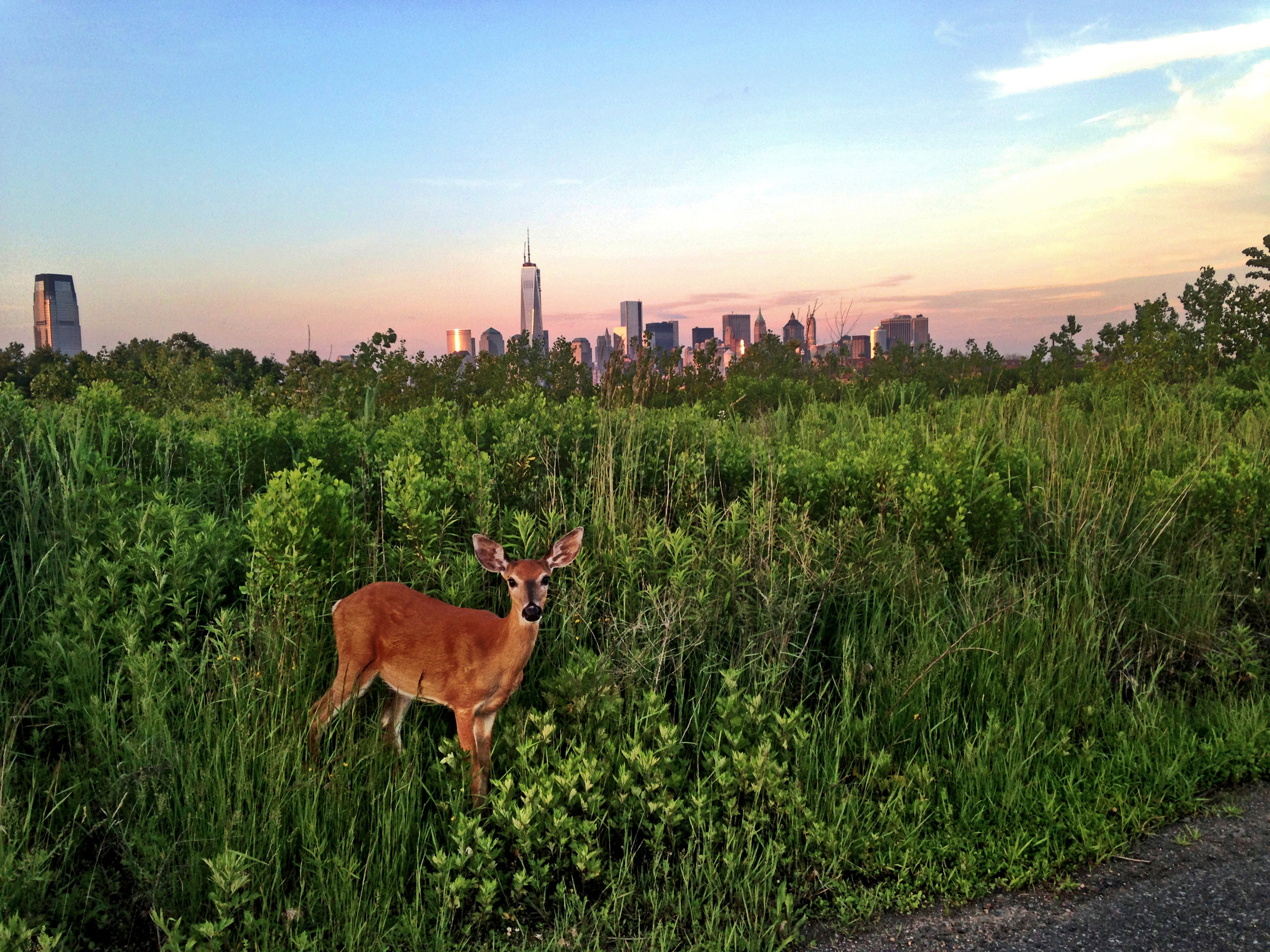 Jersey City, NJ 2013