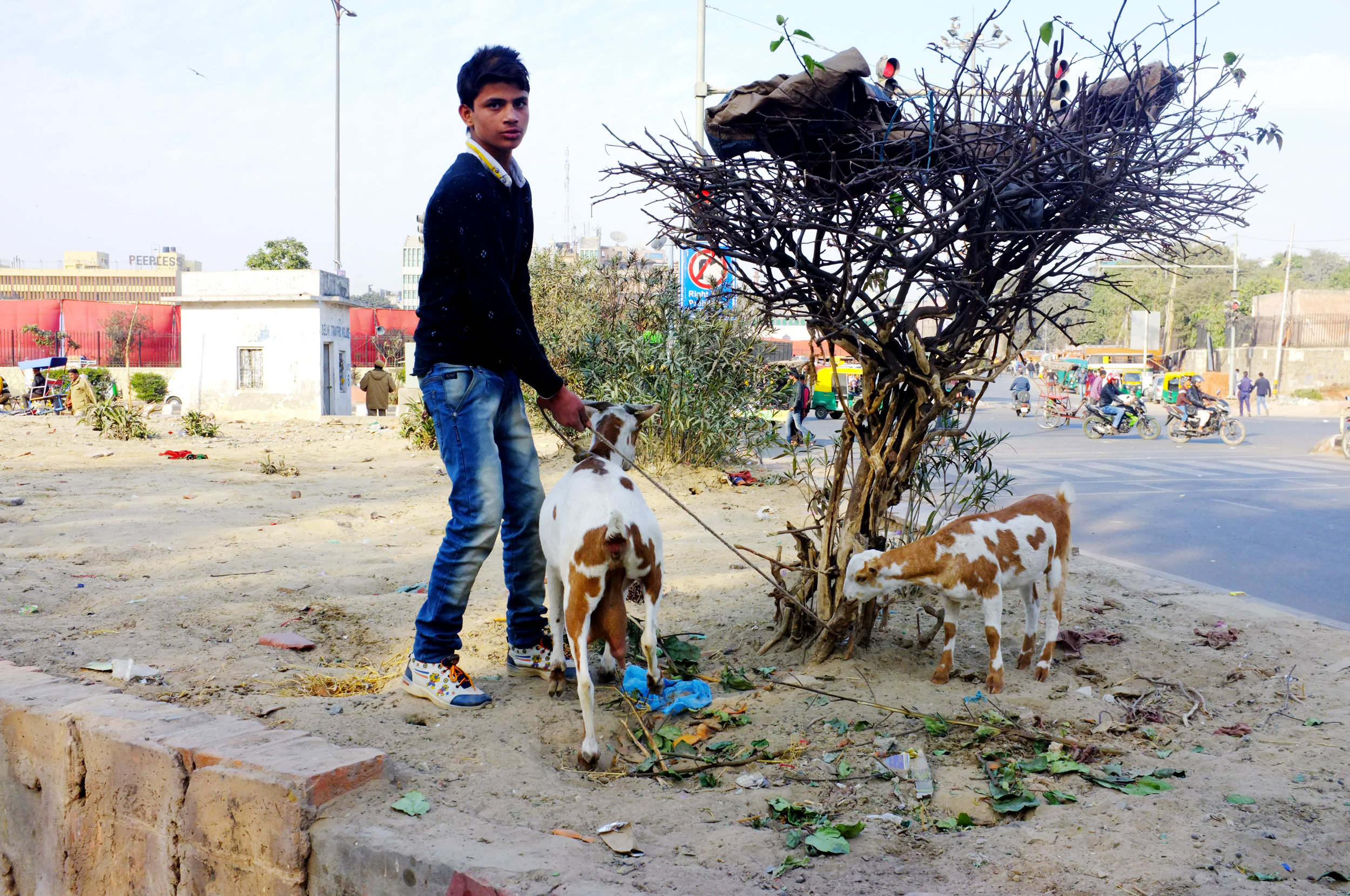 New Delhi, India 2015 by Mel D. Cole