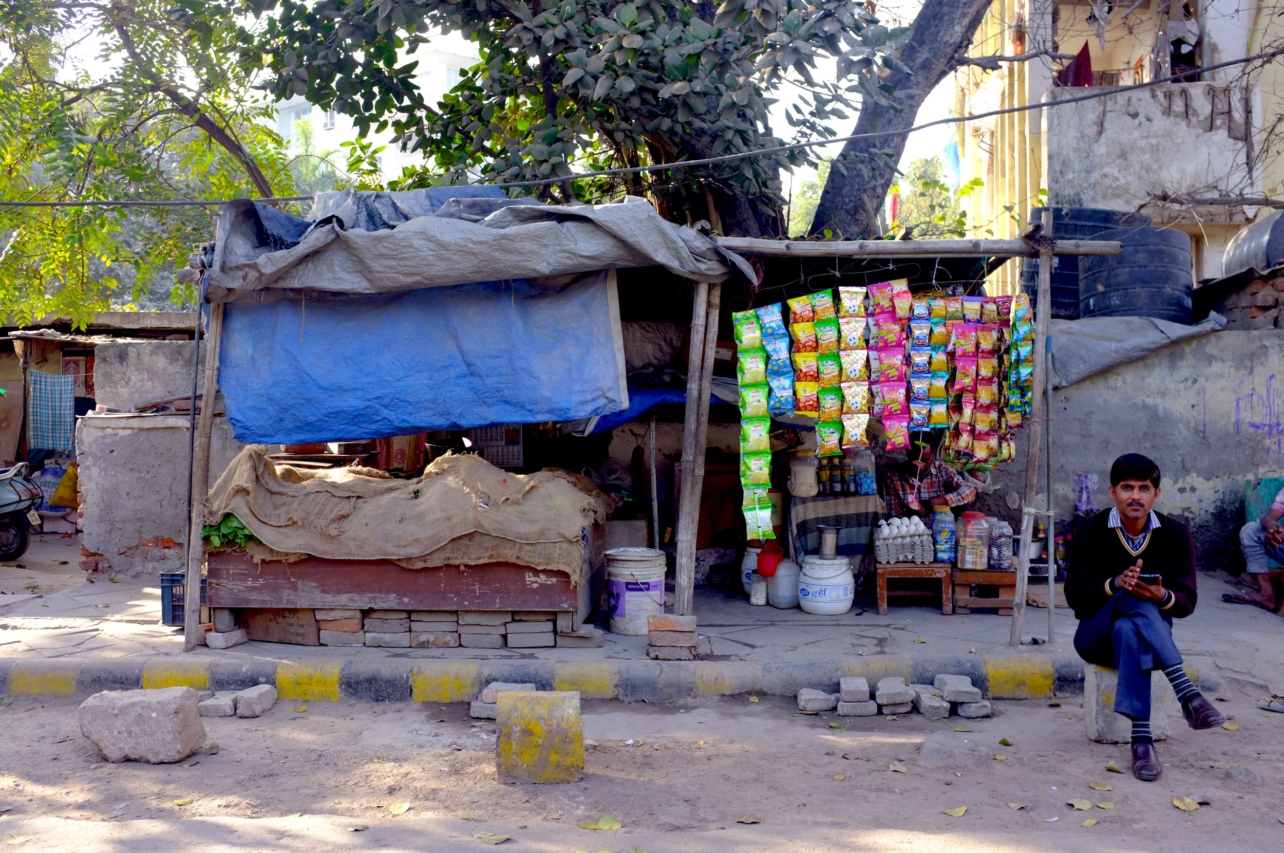 New Delhi, India 2015 by Mel D. Cole